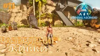 ARK Survival Ascended #11 Разведение живки