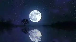 (Beethoven)  Sonate au clair de lune - Raymond Lefrève
