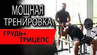 Тренировка для мышц груди и трицепса
