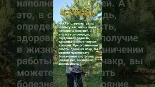 Чакры #виталийалтайский #целительство #чакры