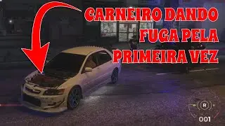 CARNEIRO DANDO A PRIMEIRA FUGA DEPOIS DE 6 MESES