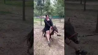 Lady riding a pony