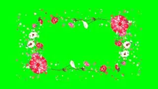 Animated Floral Photo Frame : Green Screen