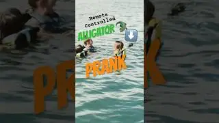 REMOTE Controlled ALLIGATOR PRANK scares people TO DEATH #shorts
