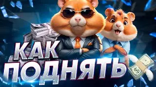 БЫСТРАЯ ПРОКАЧКА в Hamster Kombat / Обзор Игры ХАМСТЕР КОМБАТ