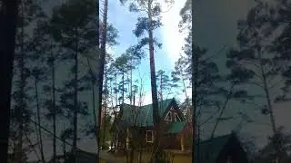 9 апреля 2022 г.
