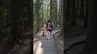 Гуляем в Комарово 🌿