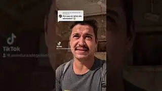 Os ratos sagrados da Índia . Saiba qual o motivo.