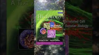 ТОП - 5 НАСТОЛЬНЫХ КНИГ СТУДЕНТА МЕДИКА #shorts
