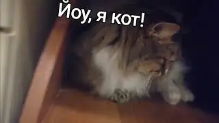 йоу