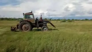 Косим Пырей на сено (МТЗ 80)