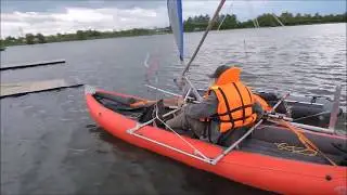 Проа на  пруду