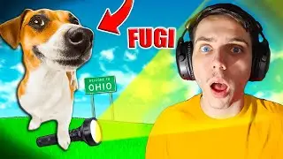 AI GRIJA de Acest CAINE.. SAU MORI !