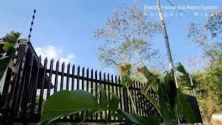 Security Fence for home and property