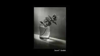 Fotografía Naturaleza Muerta