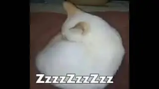 ZZZZZZZZ.