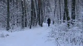 Прекрасный снегопад
