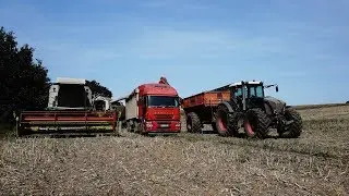 Żniwa 2018 Rzepak Claas & Fendt GR Fryder