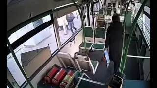 Классический безбилетник