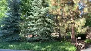 Wilderness Lane Sugarloaf Big Bear City Ca