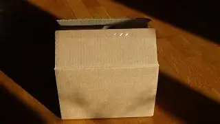Funko Pop Surprise