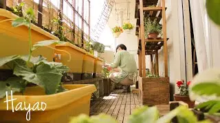 Small Balcony Ideas for Cool Summer
