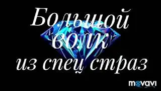 Обзор алмазной вышивки. Волк из специальных страз. Посылка с AliExpress.