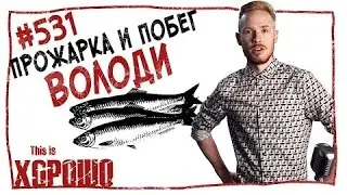 This is Хорошо   Прожарка и побег Володи #531