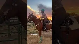 Chester Smoked A Run In Casper! #barrelracing #equestrian #rodeo