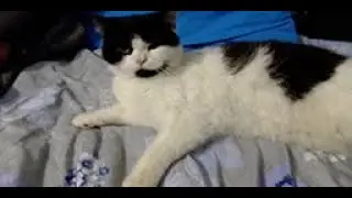злой дрыщ-коробка, афигеть...