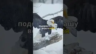 Окружение.