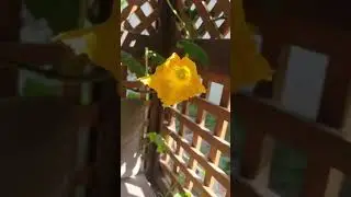 С добрым утром, любимые!😊