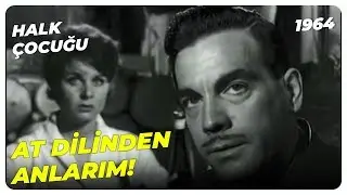 Halk Çocuğu - Ayhan Işık Meyhaneyi Dağıtıyor! | Fatma Girik Ayhan Işık | Yeşilçam Filmi
