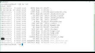 Red Hat Linux  Day 4 Aug Batch (connecting via putty, ipaddress, dhcp) 