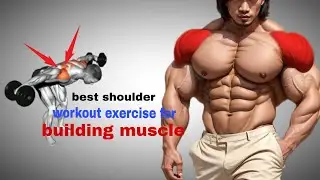 Best Shoulder Workout Exercises For Building Muscle