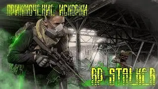 RPStalker \ Приключения Искорки часть 11 (18+)