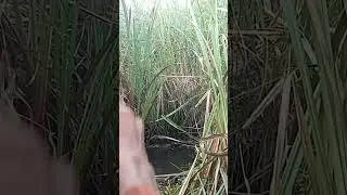 tempat yg blm terjamah