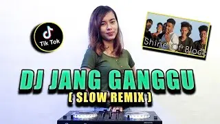 DJ ADO ADO JANG GANGGU SLOW REMIX | VIRAL TIKTOK TERBARU 2021