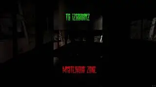 ДАЛЬНОБОЙЩИКИ В СТАЛКЕР РП! #shorts  #stalker2 #dayzrp #stalker #rp  #roleplay #mysteriouszonedayz