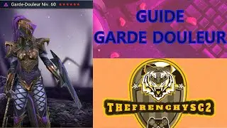 Guide débutant garde-douleur raid shadow legends