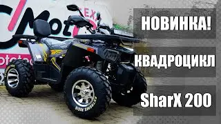 НОВИНКА! SharX 200 VS FORTE BRAVES 200: видеообзор и сравнительная характеристика