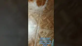 miren qué pasó mira qué pasó