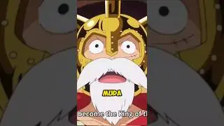 LUFFY ❗❓ MEMANG TERLAHIR MENJADI RAJA