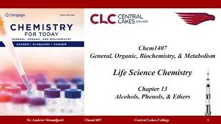 Chem1407 Lecture Notes Chapter 13