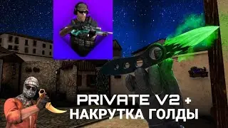 PRIVATE V2 + НАКРУТКА ГОЛДЫ В ПРИВАТНОМ СЕРВЕРЕ | СЛИВ БУДЕТ В ВИДОСЕ