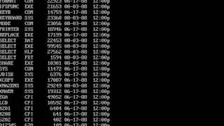 How To Delete Files In MS-DOS (DOS Basics)
