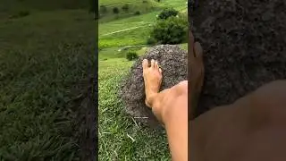 Just... tell me why!? 🤣