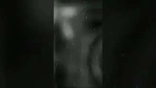 🌧️Nature Sonority🌧️ 