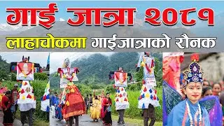 लाहाचाेकमा पहिलाेपटक भब्य  गाइजात्रा // gaijatra .