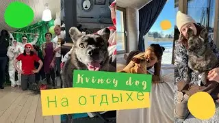 СПИНАЛЬНИК КВИНСИ ОТМЕЧАЕТ ДЕНЬ РОЖДЕНИЕ ХОЗЯЙКИ | ОТДЫХАЕМ НА ПРИРОДЕ